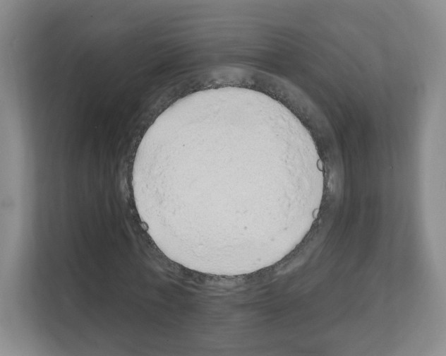 X0000111130771200908111038