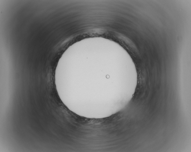 X0000111130773200908111038