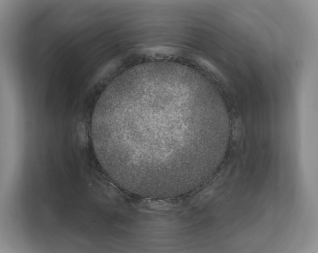 X0000111130774200908111038
