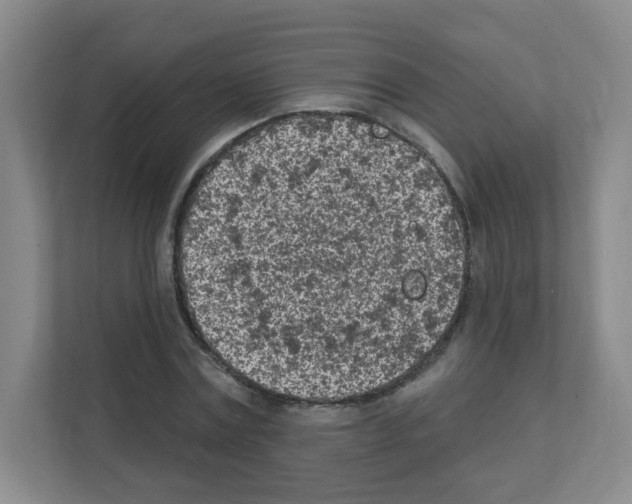 X0000111130779200908111038