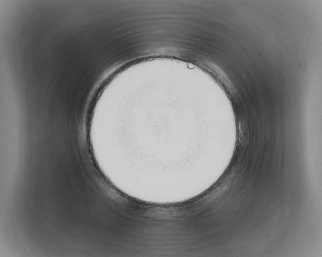 X0000111130780200908111038