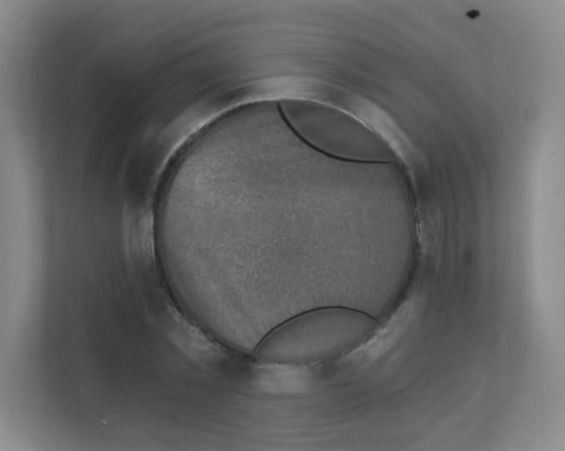 X0000111130781200908111038