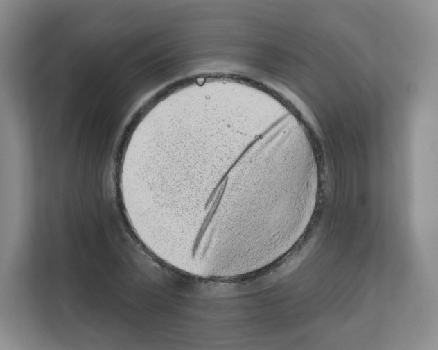 X0000111130783200908111038