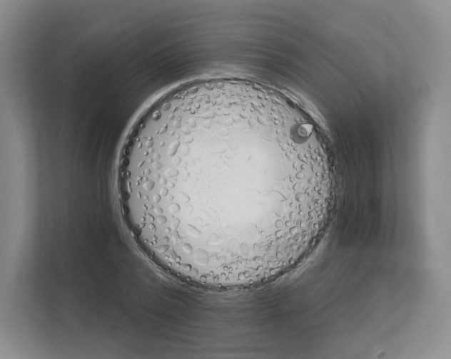 X0000111130784200908111038