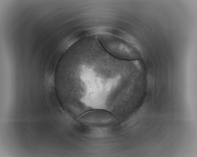 X0000111130785200908111038
