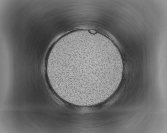 X0000111130787200908111038