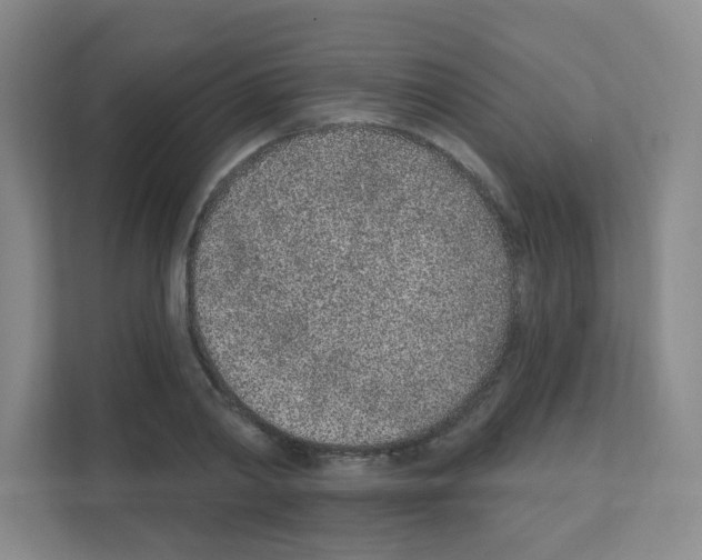 X0000111130790200908111038