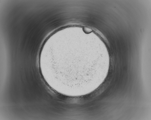X0000111130791200908111038