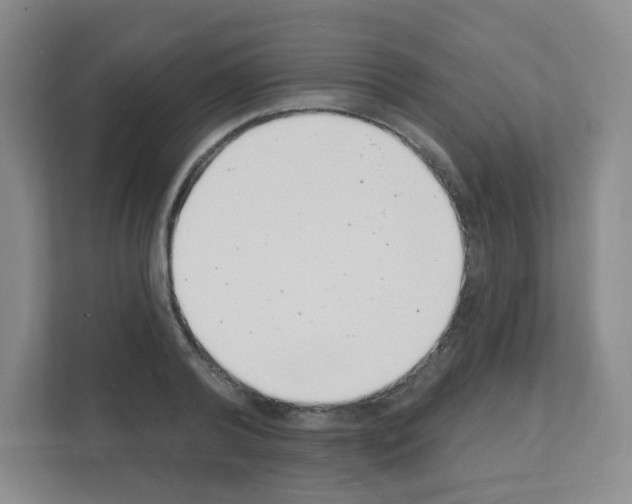 X0000111130792200908111038