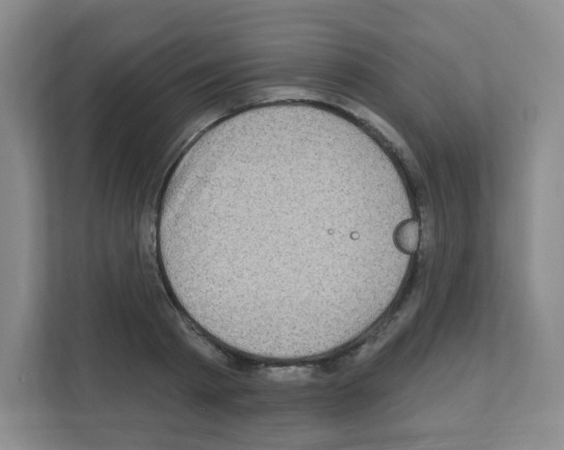 X0000111130793200908111038