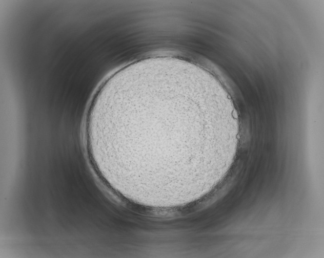 X0000111130795200908111038