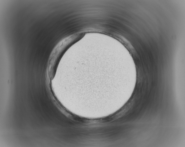 X0000111130796200908111038