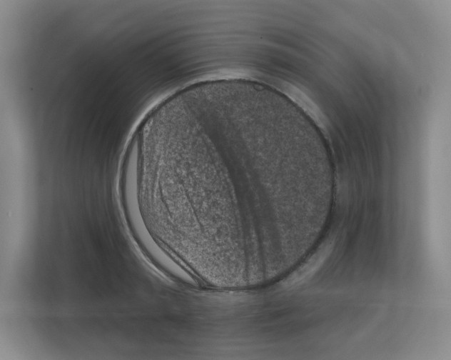 X0000111130797200908111038