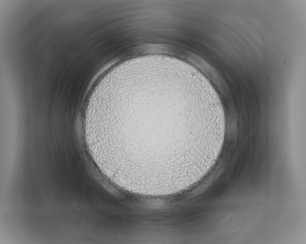 X0000111130798200908111038