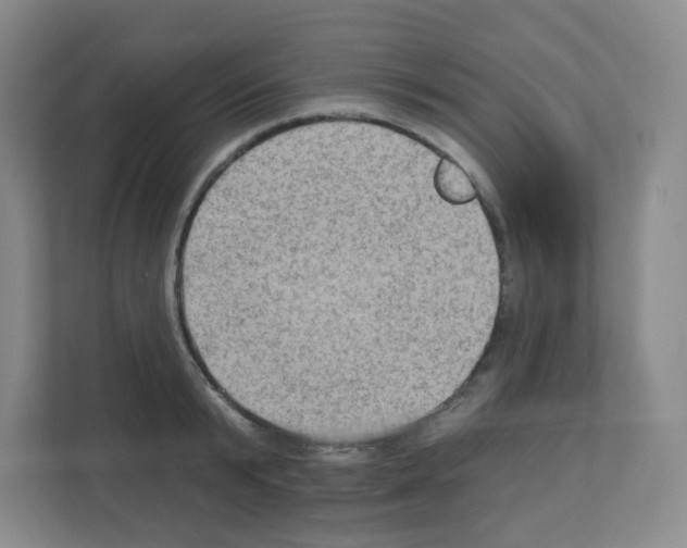 X0000111130799200908111038