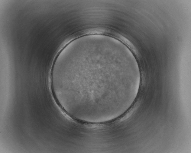 X0000111130802200908111038