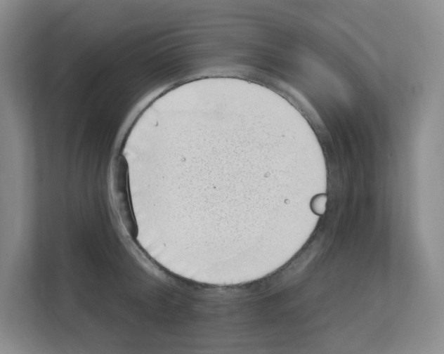 X0000111130804200908111038