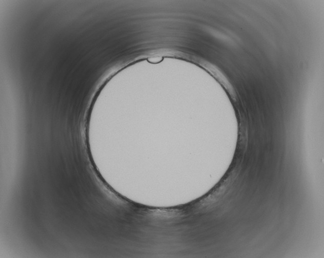 X0000111130805200908111038