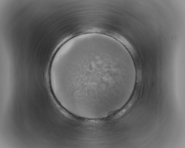 X0000111130806200908111038
