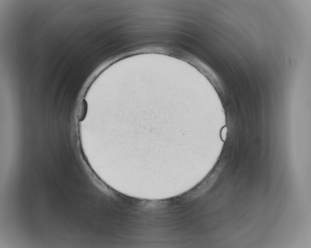 X0000111130808200908111038