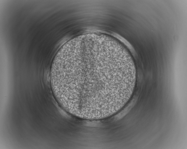 X0000111130809200908111038