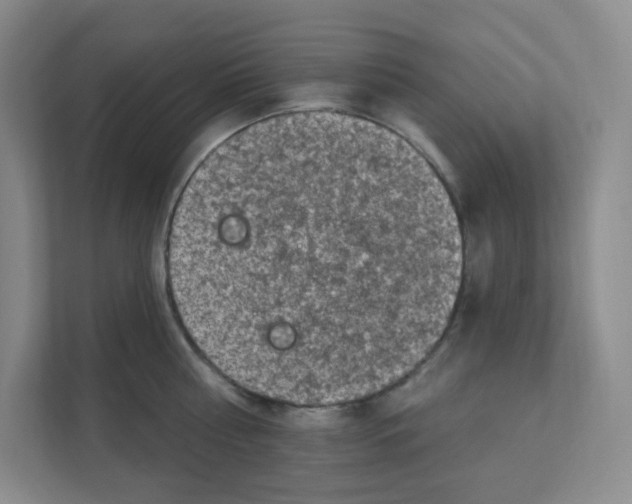 X0000111130810200908111038