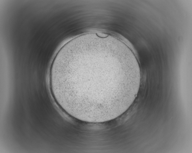 X0000111130811200908111038