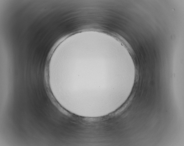 X0000111130812200908111038