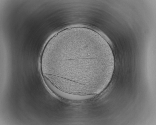 X0000111130813200908111038
