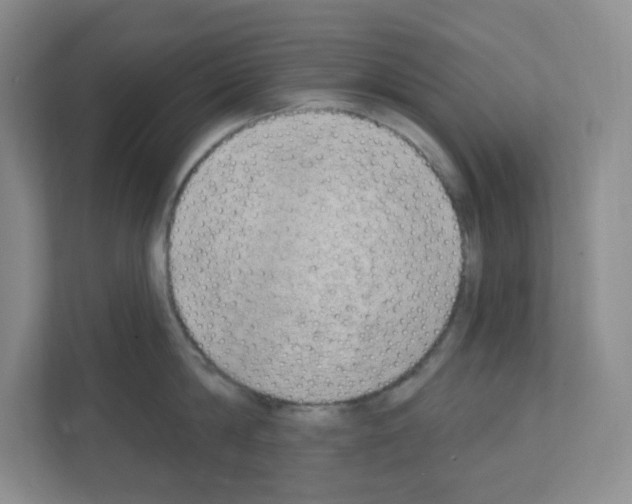 X0000111130814200908111038