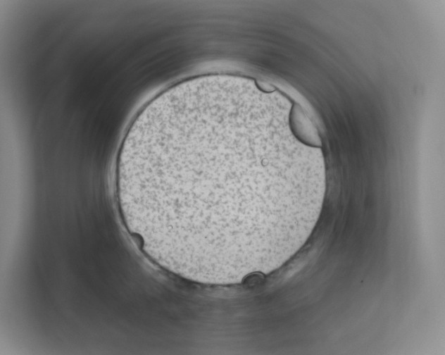 X0000111130815200908111038