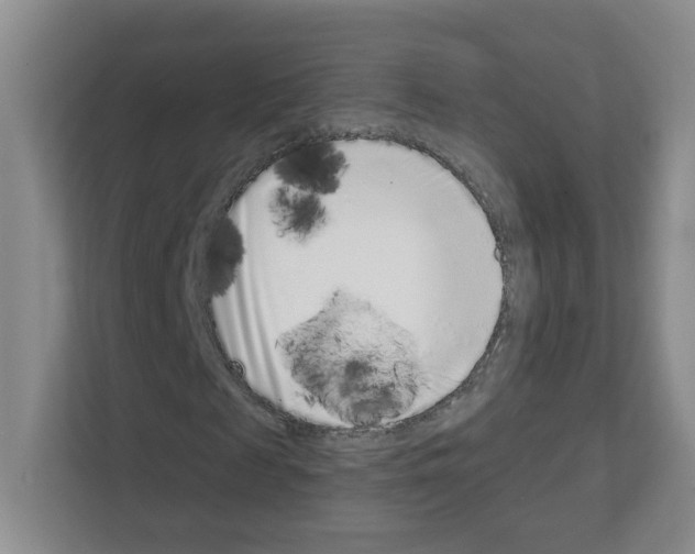 X0000111130817200908111037