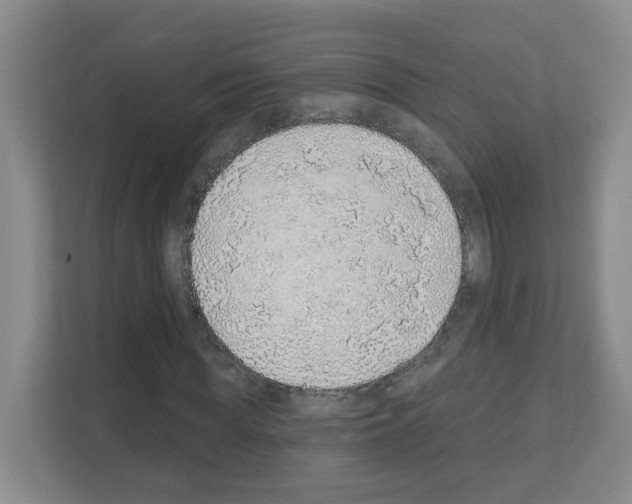 X0000111130819200908111037