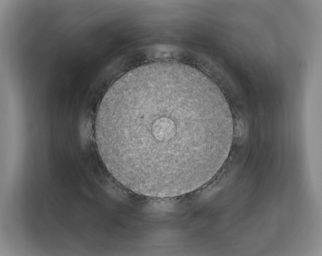 X0000111130820200908111037