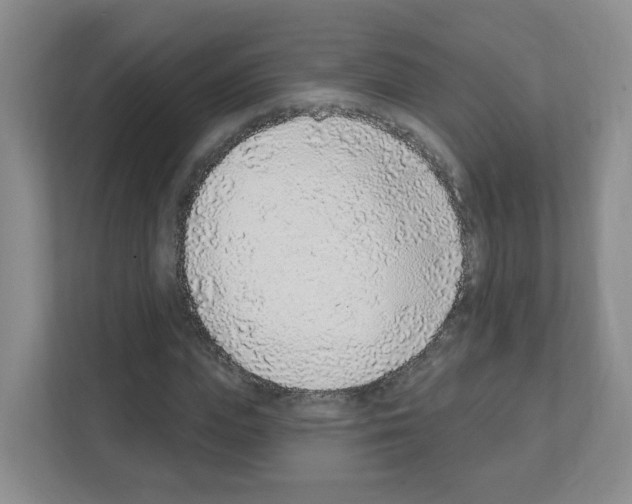 X0000111130823200908111037