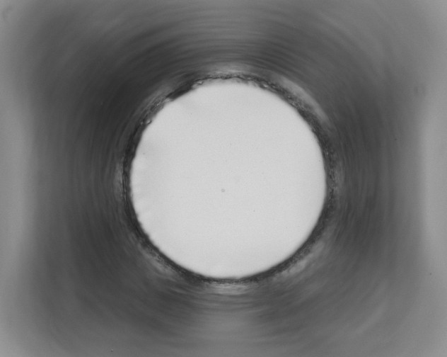 X0000111130825200908111037