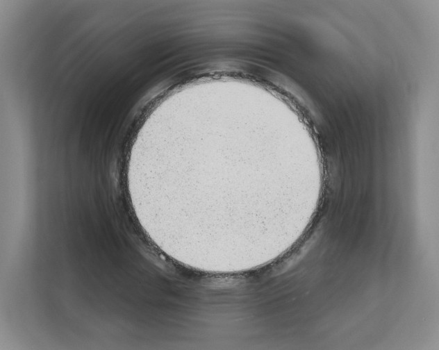 X0000111130826200908111037