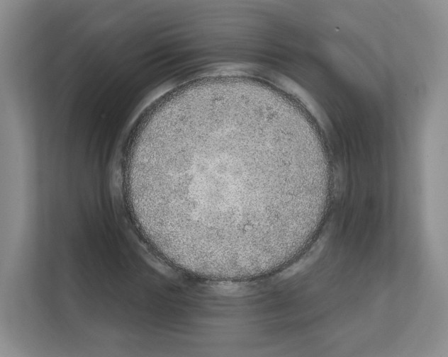 X0000111130827200908111037
