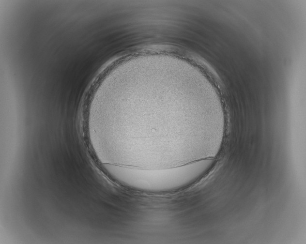 X0000111130828200908111037