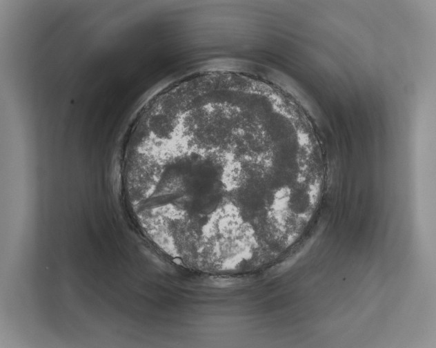 X0000111130829200908111037