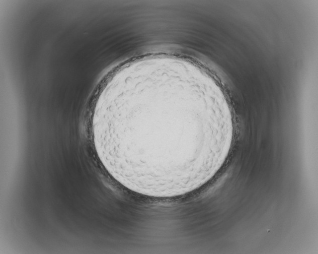 X0000111130830200908111037