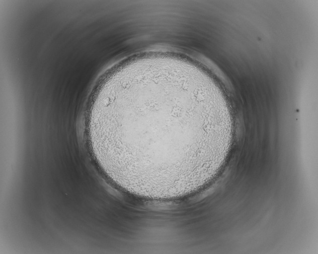 X0000111130831200908111037