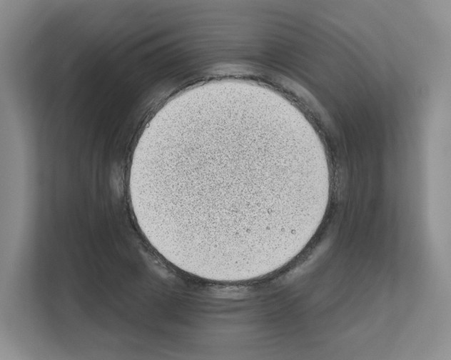 X0000111130833200908111037