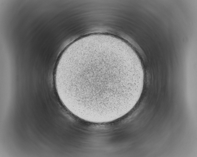 X0000111130834200908111037