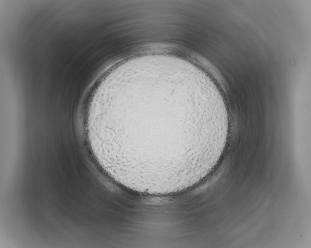 X0000111130835200908111037