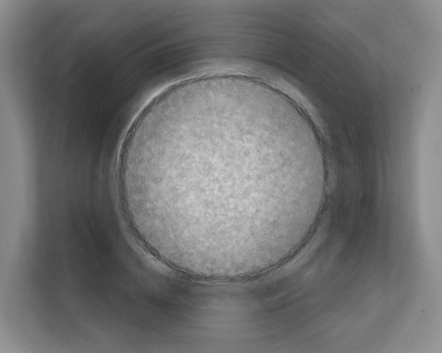 X0000111130836200908111037