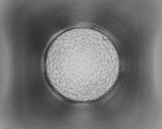 X0000111130838200908111037