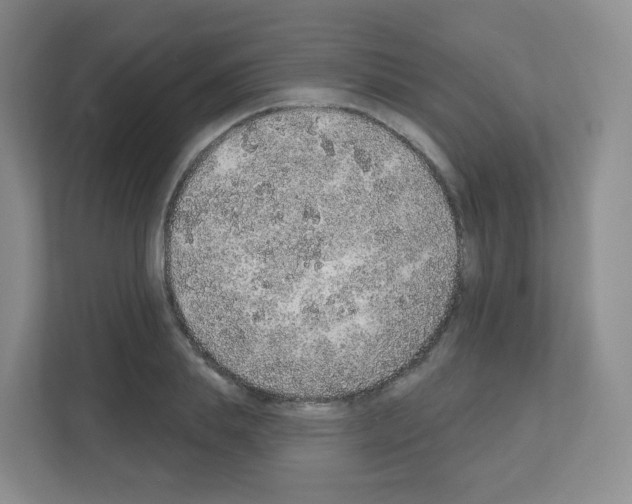 X0000111130839200908111037