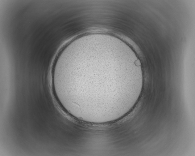 X0000111130840200908111037