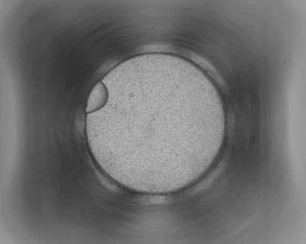 X0000111130841200908111037